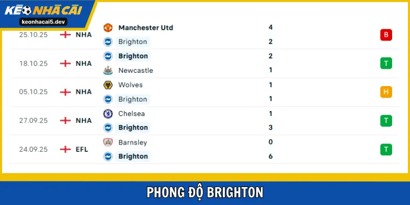 Chim Mòng Biển bị thủng lưới khá nhiều