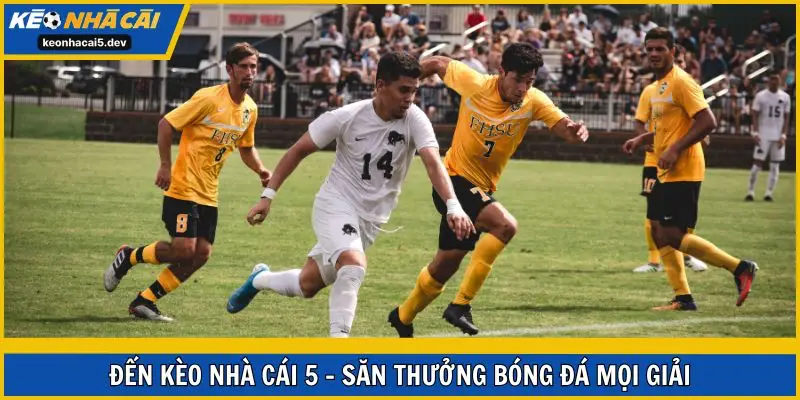Đến Kèo Nhà Cái 5 - săn thưởng bóng đá mọi giải