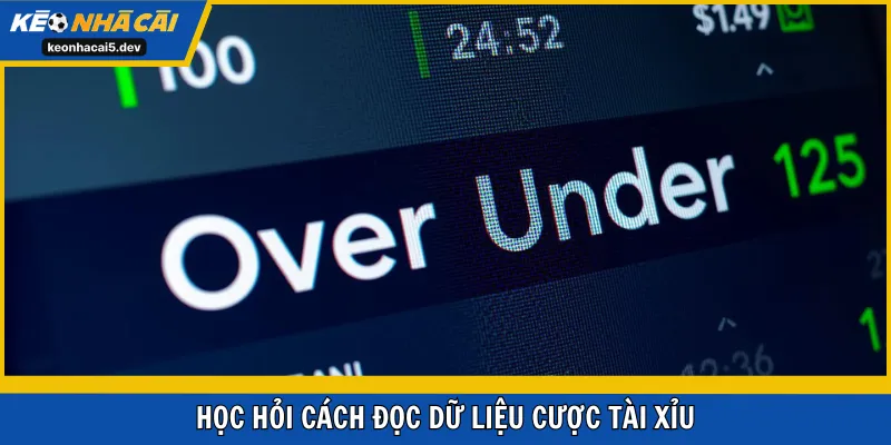 Học hỏi cách đọc dữ liệu cược Tài Xỉu