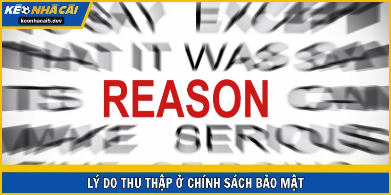 Lý do thu thập ở chính sách bảo mật