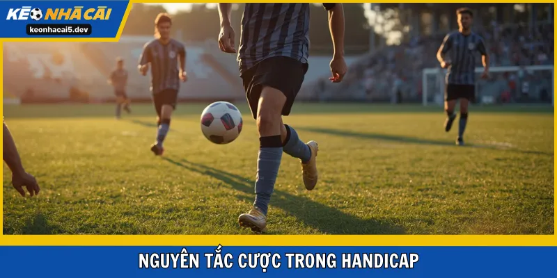 Nguyên tắc cược trong Handicap