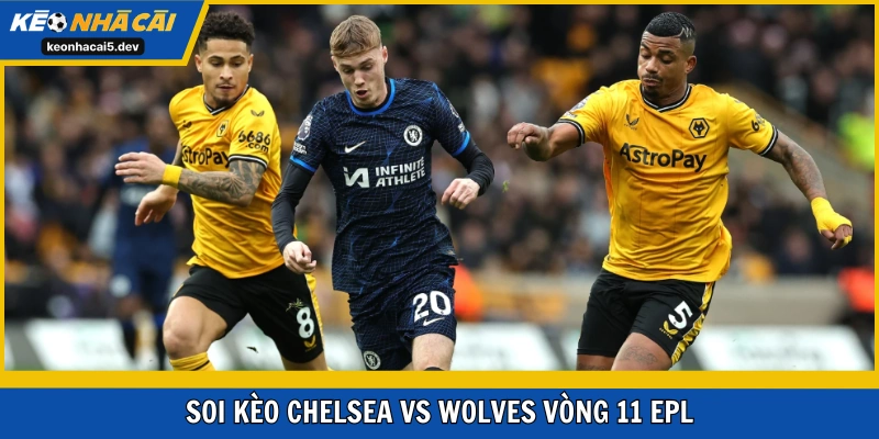 Soi kèo Chelsea vs Wolves vòng 11 EPL