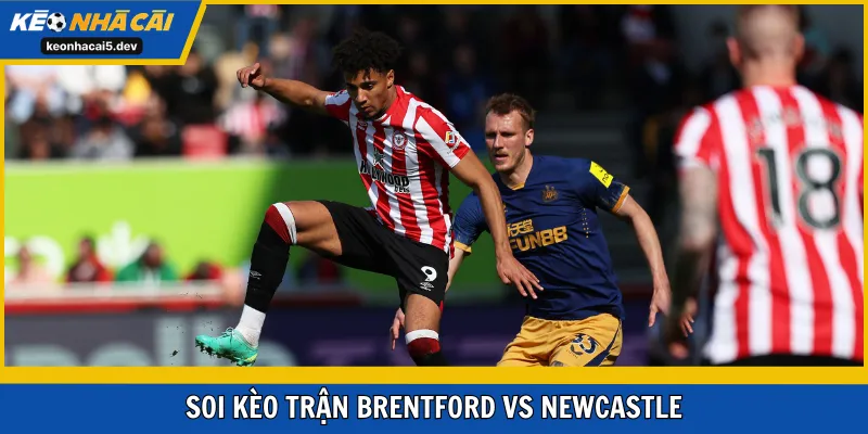 Soi kèo trận Brentford vs Newcastle