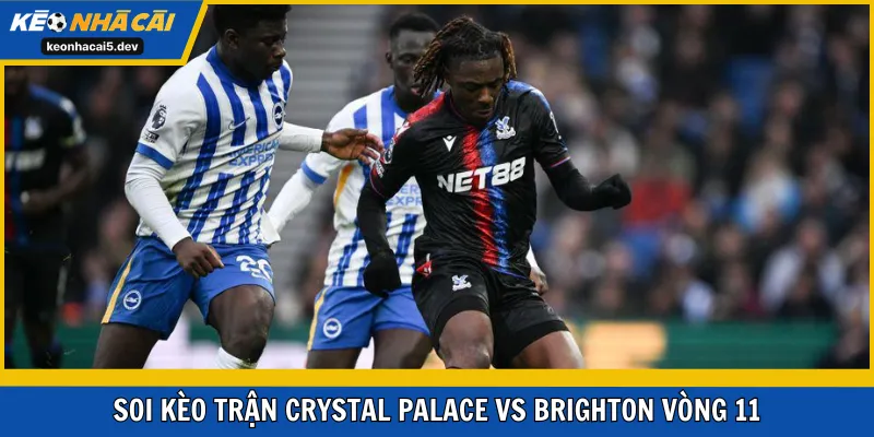 Soi kèo trận Crystal Palace vs Brighton Vòng 11 – Ngày 9/11/2025