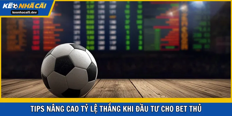 Tips nâng cao tỷ lệ thắng khi đầu tư cho bet thủ