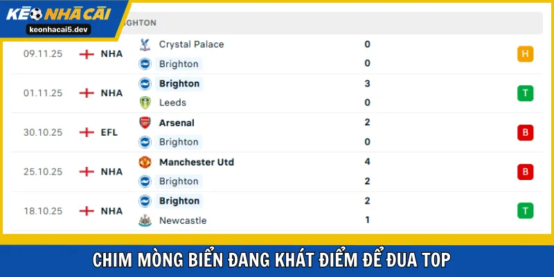 Chim Mòng Biển đang khát điểm để đua top