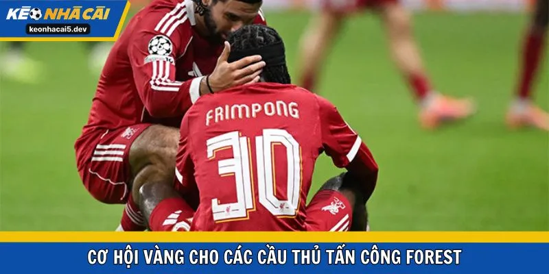 Cơ hội vàng cho các cầu thủ tấn công Forest