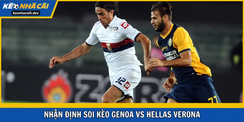 KNC5 dự đoán cửa đặt trận Genoa vs Hellas Verona