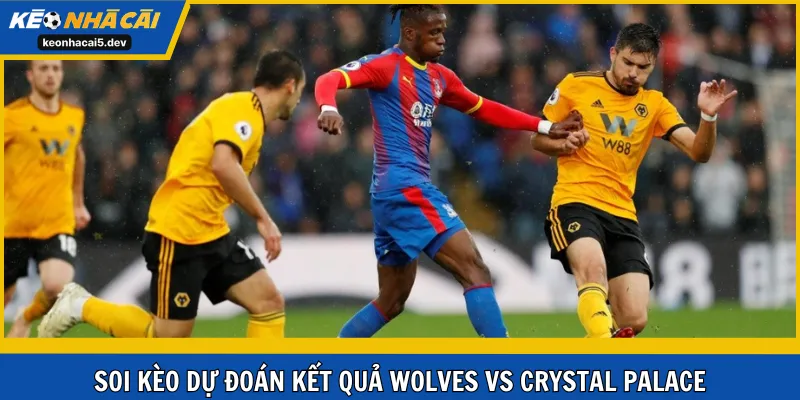 Soi kèo dự đoán kết quả Wolves vs Crystal Palace