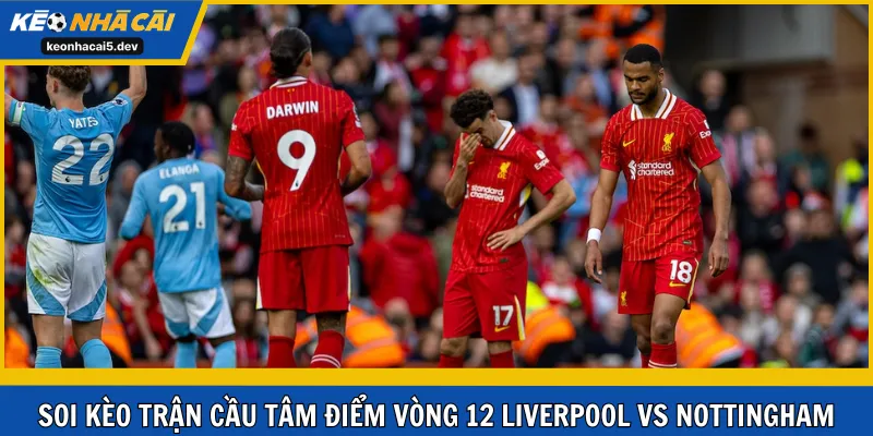 Soi kèo trận cầu tâm điểm vòng 12 Liverpool vs Nottingham