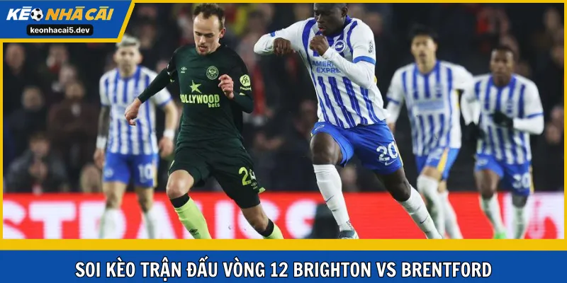Soi kèo trận đấu vòng 12 Brighton vs Brentford